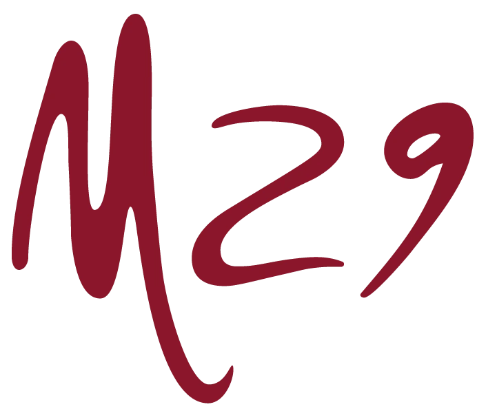 ISUZU truck loghi 2024 M29