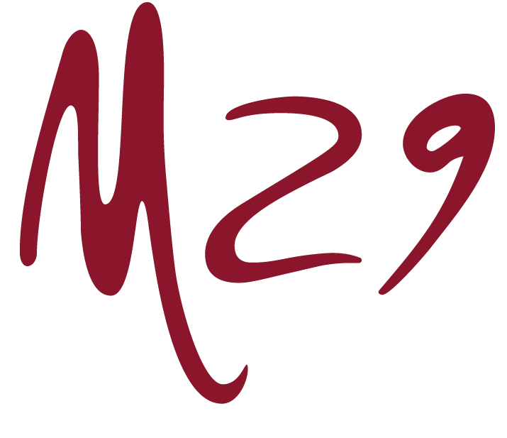 ISUZU truck loghi 2024 M29