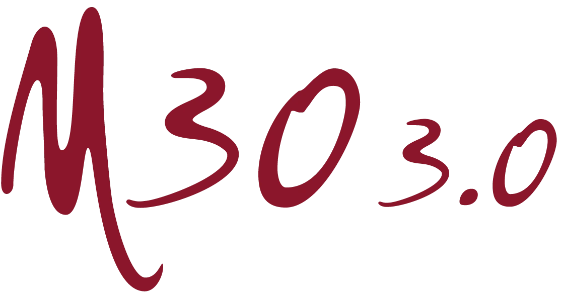 ISUZU truck loghi 2024 M30 3.0